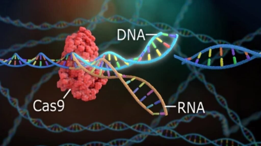 Cas9-1024x572 World's Top 5 Research Breakthroughs That Are Changing Our Future