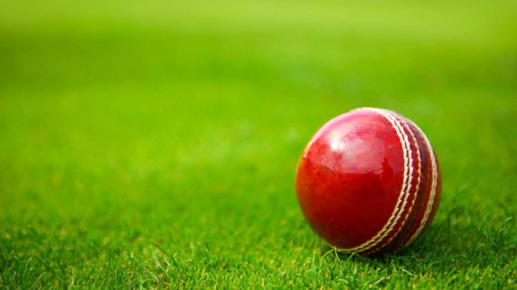 Cricket