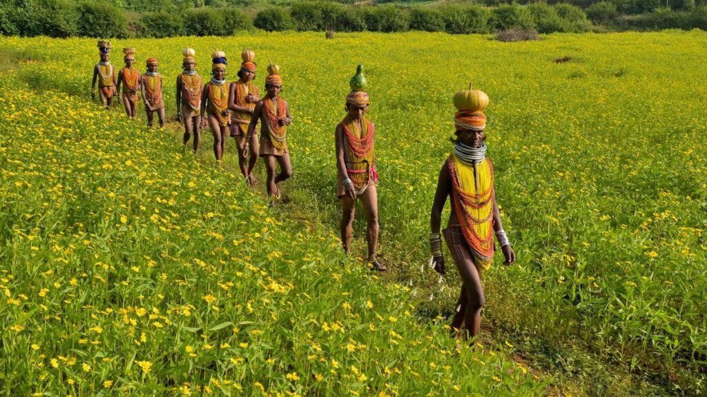 National Handloom Day: Bonda Tribe’s Handwoven Ringa