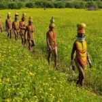 National Handloom Day: Bonda Tribe’s Handwoven Ringa