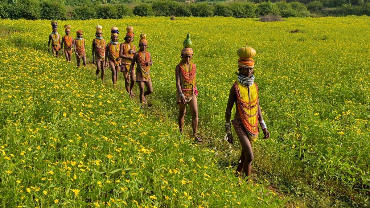 National Handloom Day: Bonda Tribe’s Handwoven Ringa