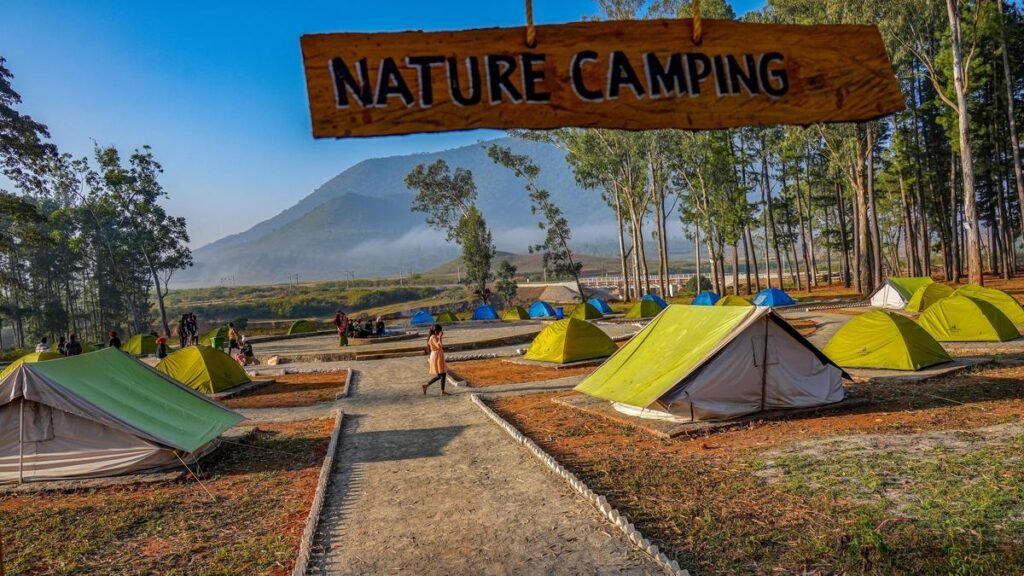 Araku Pinery adds new tourist attractions in Araku Valley Araku Pinery adds new tourist attractions in Araku Valley