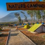 Araku Pinery adds new tourist attractions in Araku Valley