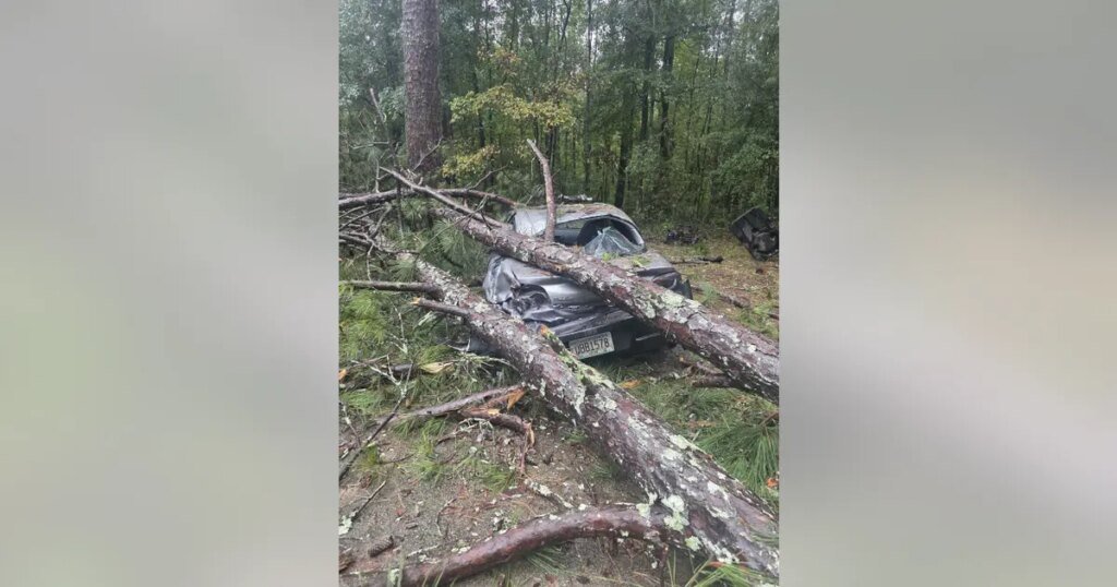 LIVE | Atlanta weather: Power outages, tree damage remain as storm threat moves east