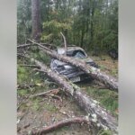 LIVE | Atlanta weather: Power outages, tree damage remain as storm threat moves east