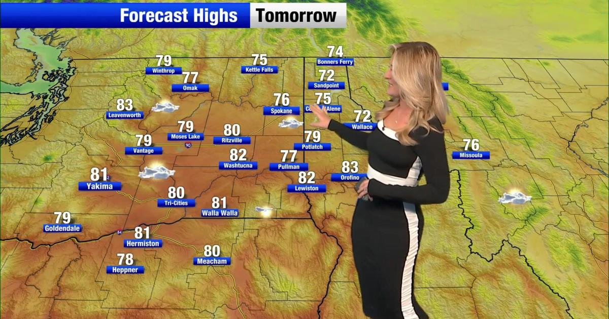 Sunny and warm conditions through the week; Windy conditions start Friday | Weather