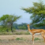Wildlife Photography Exhibition in Vizag | Andhra Pradesh Biodiversity