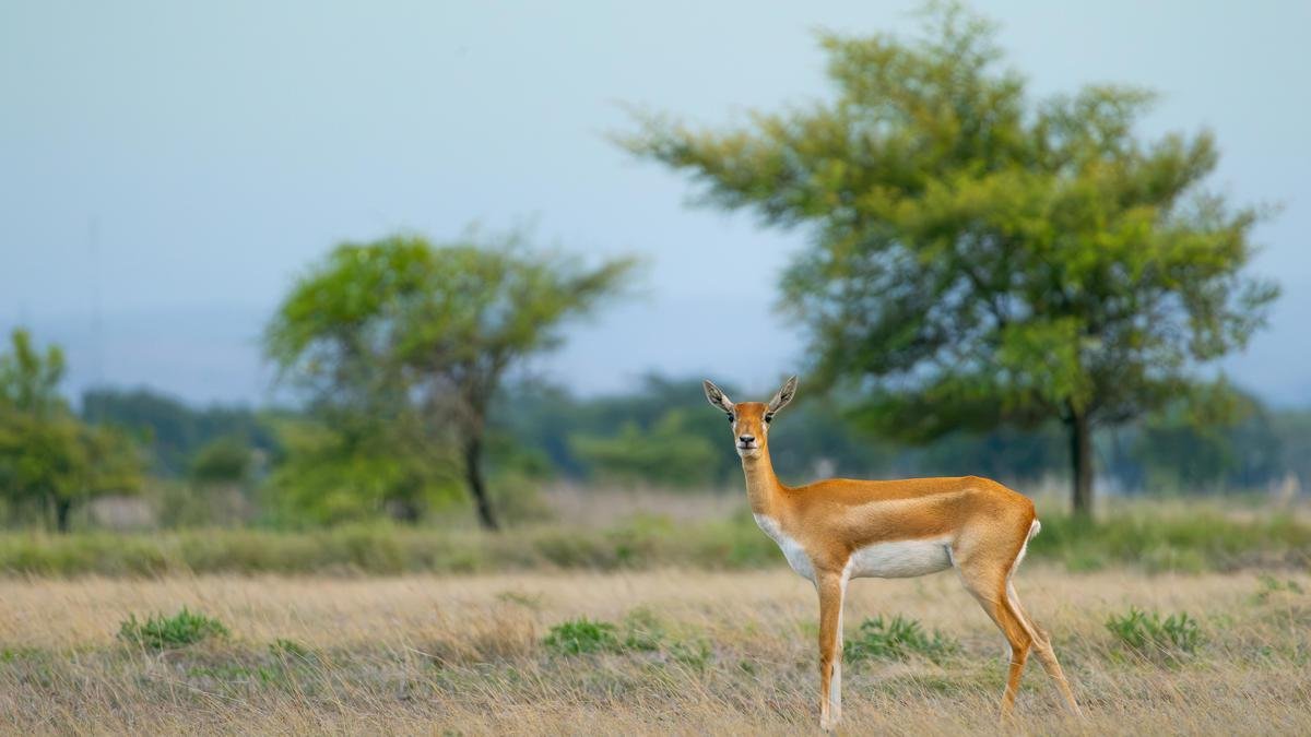 Wildlife Photography Exhibition in Vizag | Andhra Pradesh Biodiversity