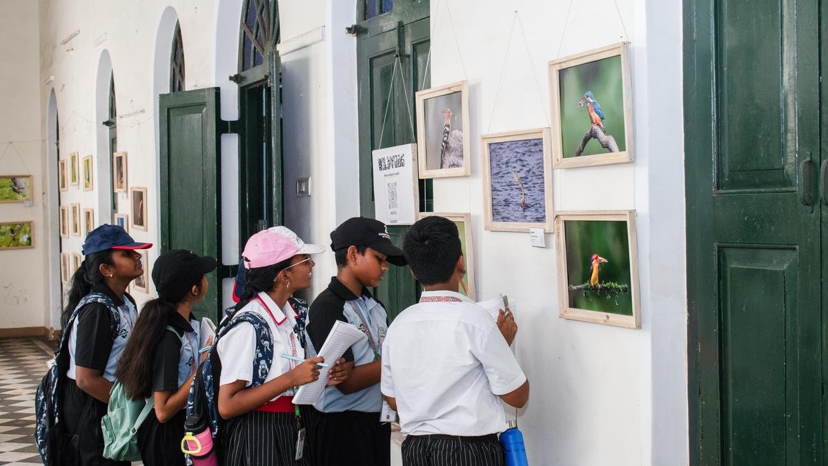 Wildlife photography exhibition opens at Hawa Mahal in Visakhapatnam