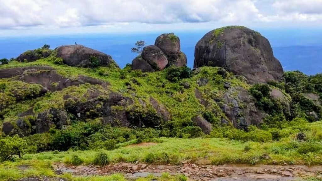 Go on a journey to the headwaters of the Manimala river Go on a journey to the headwaters of the Manimala river