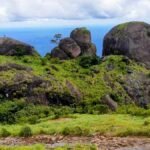 Go on a journey to the headwaters of the Manimala river