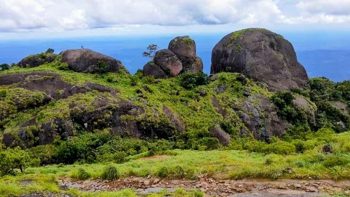 Go on a journey to the headwaters of the Manimala river