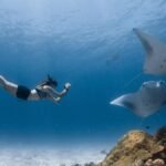 Four Seasons Maldives at Landaa Giraavaru: Where luxury meets conservation