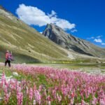 Best Wildflower Treks in India and Nepal for the Monsoon Flowering Season