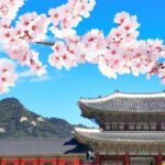 BTS, cherry blossoms, snacks and more: A guide to Seoul this spring