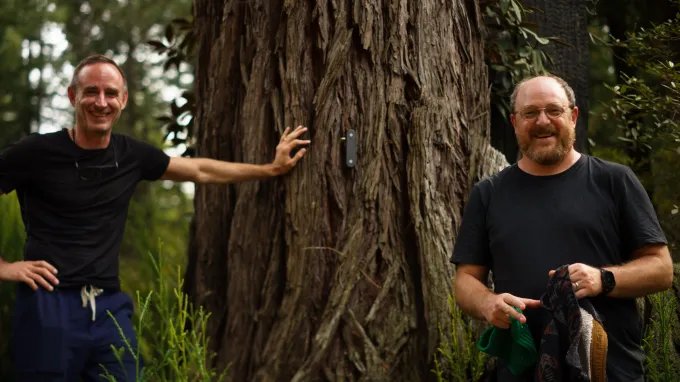 lee-von-kraus-and-justin-mast-electric-plant Plants can speak using electricity, so this startup built an AI model to decipher their language
